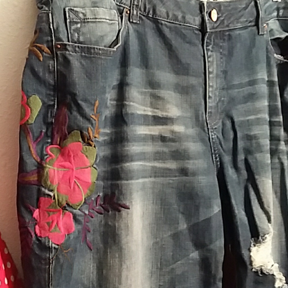 Standards And Practices Plus Size Embroidered Jean - image 2